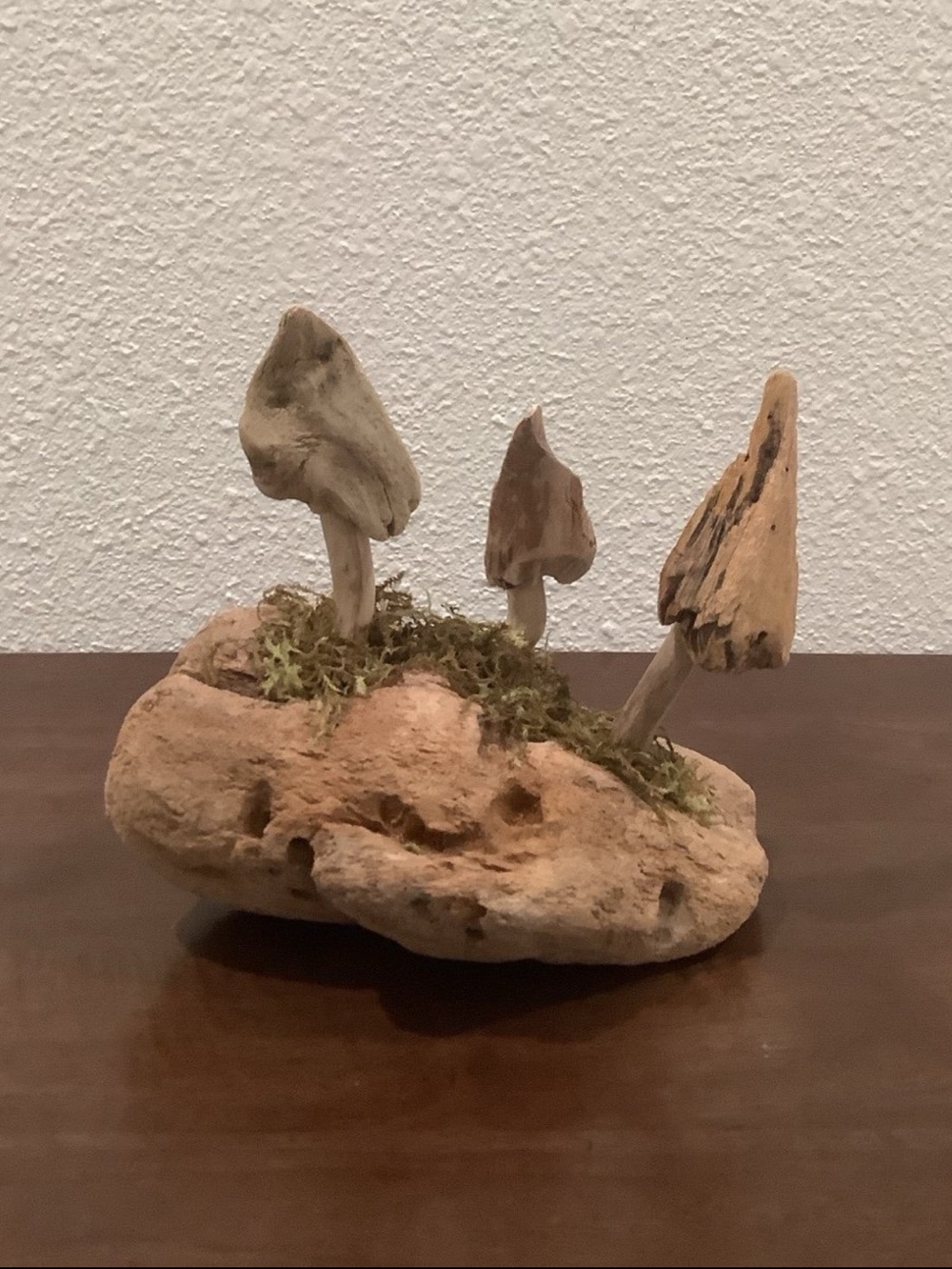 Driftwood Art , Driftwood Mushrooms, Mushroom Art, Driftwood Coastal Decor